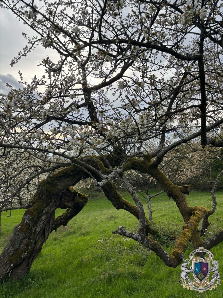 Natur, Wandern, Freundschaft, Verbindung, Menschlichkeit